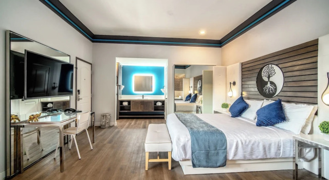 Двухместный номер Luxury Aspire Inn Studios & Spas