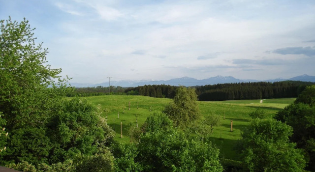 Одноместный номер Standard с балконом Landhaus Griessee