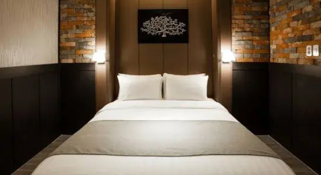 Полулюкс CS Premier Hotel