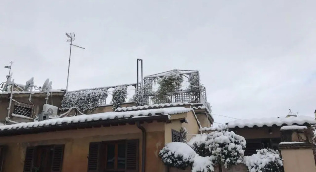 Nido tra le cupole