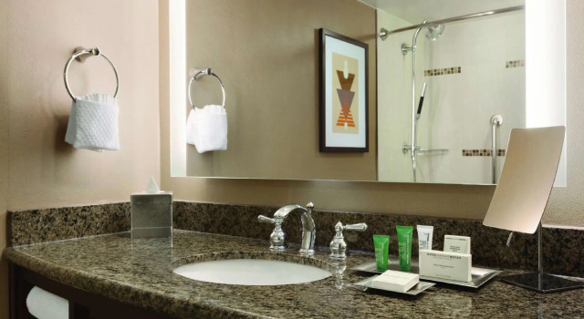 Двухместный номер Executive Hilton Arlington