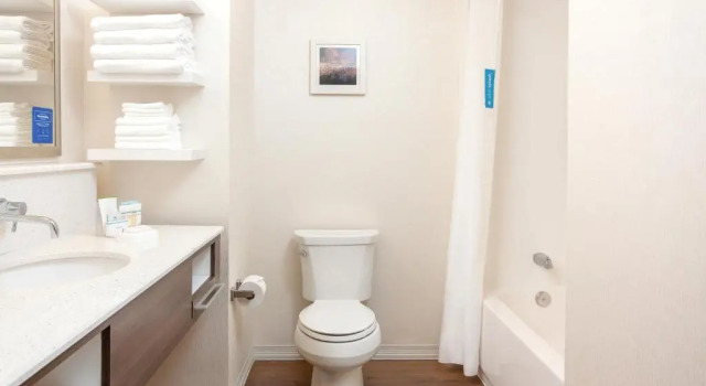 Номер Standard Hampton Inn & Suites Niles/Warren, OH