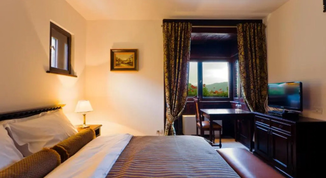 Номер Standard Pensiunea Leonida - RESORT LEONIDA