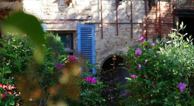 Ferienwohnung TOSCANA, Book Hotel Dresden 