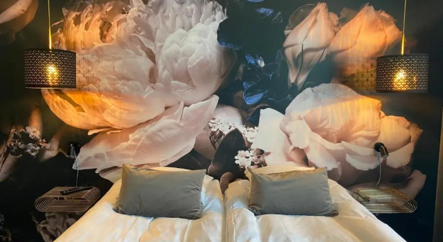 Номер Superior Hotel Sov Godt Herning