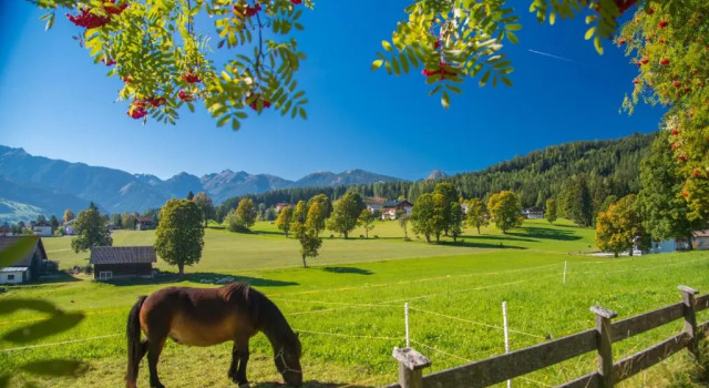 Номер Superior Almfrieden Hotel & Romantikchalet