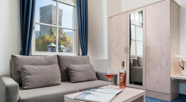 Двухместный номер Comfort Hotel Schloss Hornberg