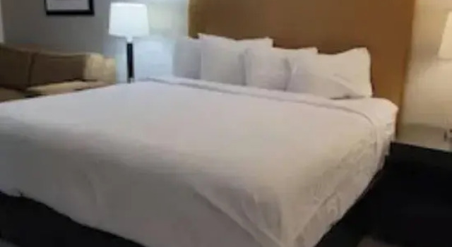 Люкс University Inn of Carbondale by Hotel O