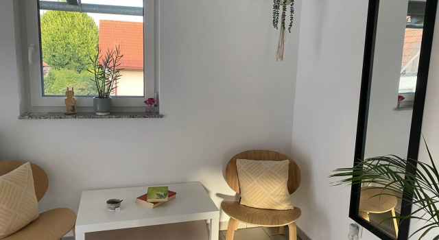 Rooms and apartments Vili