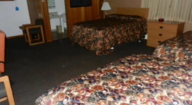 Номер Standard Paintbrush Motel