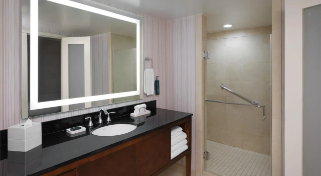 Двухместный полулюкс Hilton Washington DC/Rockville Hotel & Executive Meeting Center
