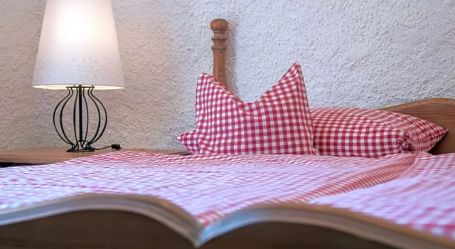 Номер Standard Boutique-Hotel Weigels Bergfreiheit