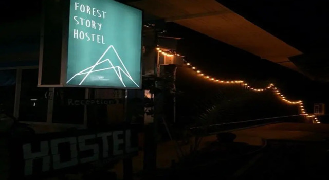 Кровать в общем номере A Forest Story Hostel  Adults Only