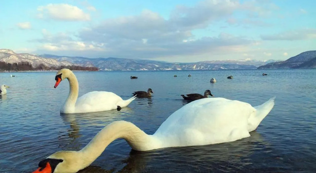 Коттедж Lakehouse At Toyako
