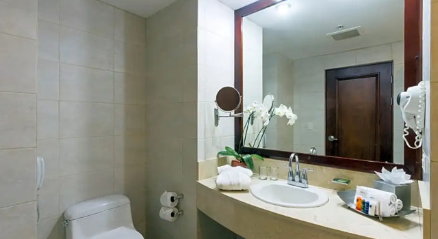 Номер Standard Radisson San Jose-Costa Rica