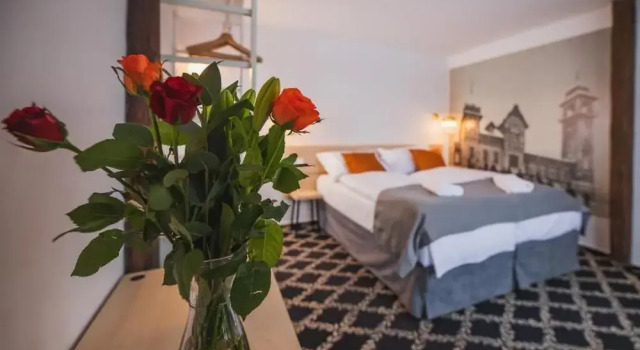 Двухместный номер Superior с видом на горы Hotel Petřín