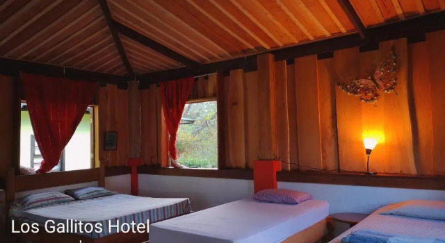 Семейный номер Standard с видом на сад Los Gallitos Eco Lodge