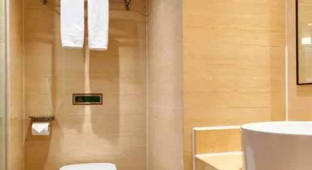 Люкс Deluxe c 1 комнатой Vienna Hotel -Yantian Harbor