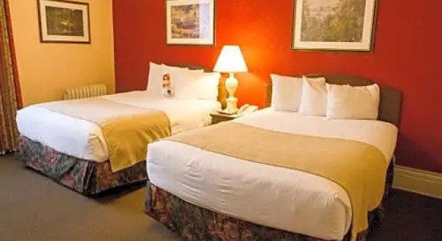 Семейный номер Standard Hotel Colorado