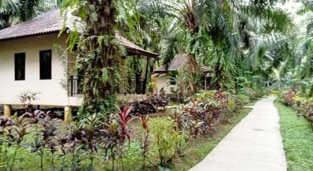 Бунгало c 1 комнатой Khao Sok Palm Garden Resort