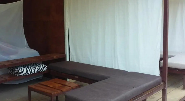 Bolita Rainforest Hostel and Cabinas