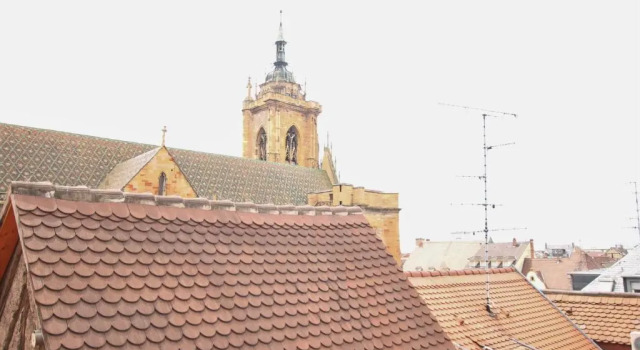 Colmar Historic Center - Cosy Studio PETIT CATHEDRALE 1 - BookingAlsace, Забронировать Апартаменты/квартира Апартаменты Кольмара, рядом с Espace d'Art Contemporain Andre Malraux, Апартаменты/квартира