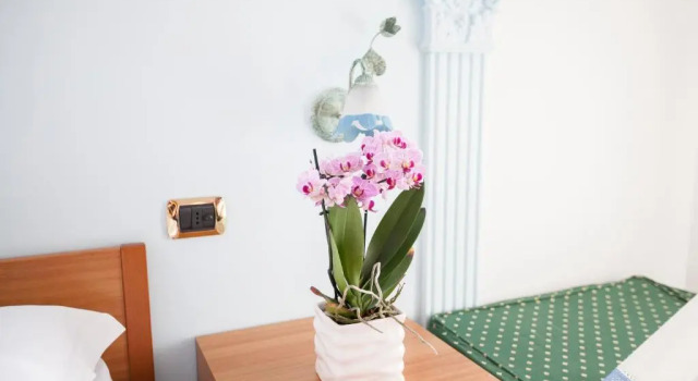 Номер Standard Oasi Relais