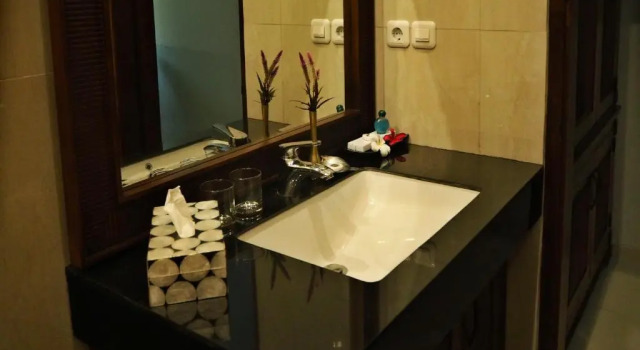 Camera Executive The Gecho Inn Country