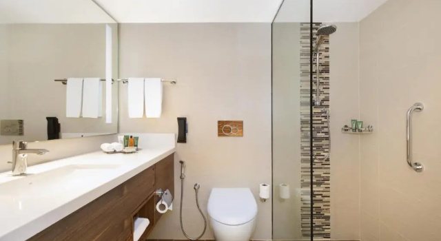 Двухместный номер Creek View Hilton Garden Inn Ras Al Khaimah