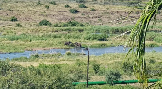 Люкс Villa-Candilabra Guesthouse