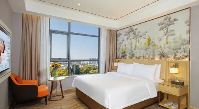Люкс Vienna Hotel (Chongzuo Vientiane Jun Shop)