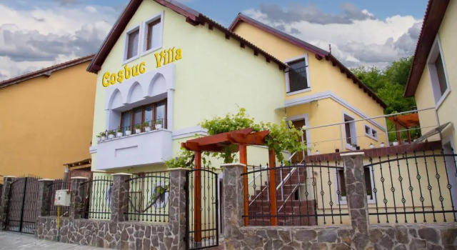 Вилла Deluxe Cosbuc Residence & Villa