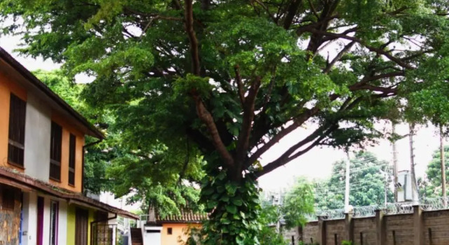Spacious Studio - Kogelo, Milimani Kisumu