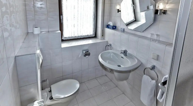 Одноместный номер Standard Hotel Landgasthaus Rössle
