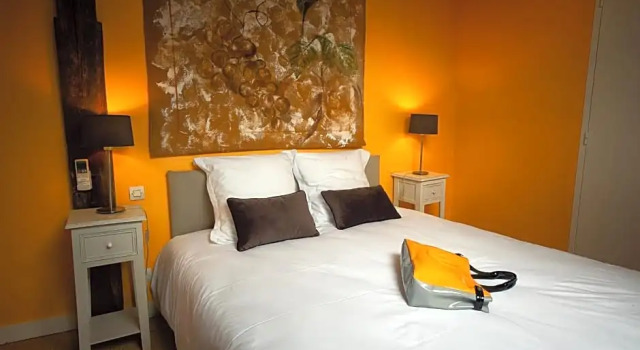 Номер Standard Hôtel & Spa Chai De La Paleine