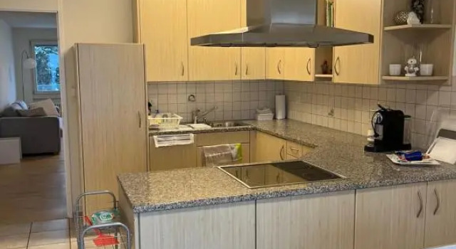 Апартаменты Amazing lakeview flat Horn