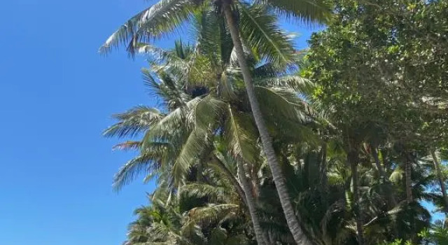 Modern 2 bedroom townhouse - Four Mile Beach Escapes, Prenota Hotel Hotel a Queensland con parcheggio, Parcheggio