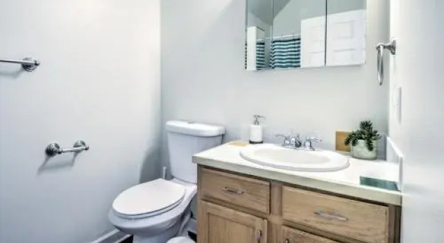 Renovated Bright 1 BR in the heart of Capitol Hill – APT B