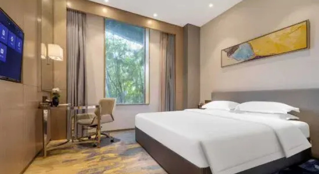 Двухместный люкс Foshan Panorama Hotel
