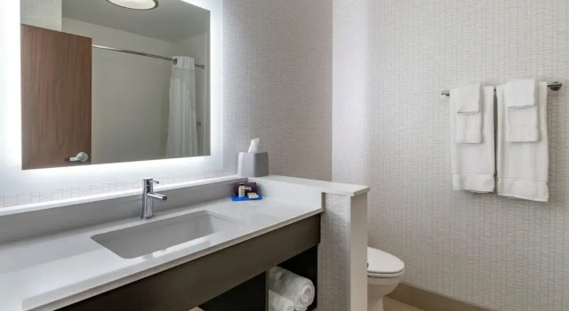 Четырёхместный люкс Holiday Inn Express & Suites Lancaster - Mount Joy by IHG