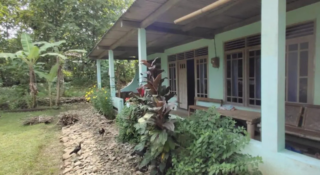 Homestay Pak Buang Syariah, Book Apartment Sedayu 