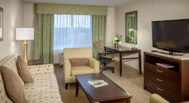 Двухместный люкс c 1 комнатой Hilton Garden Inn Eugene/Springfield