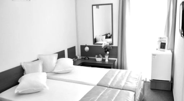 Standard Twin room with balcony Hotel Decebal Neptun