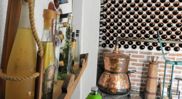 Guest House Radoman