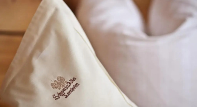Номер Standard Das Traditionshotel Schwarzer Adler