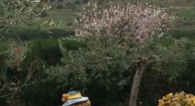 Il Giardino di Athena vista Valle dei Templi, Book Hotel Hotels in Sicily with Parking, Parking