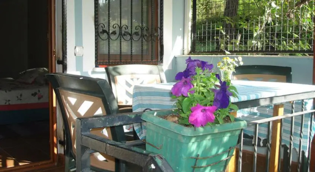 MG House - Keyf