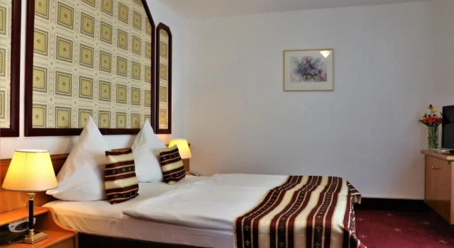 Двухместный номер Standard Hotel Neckarlux