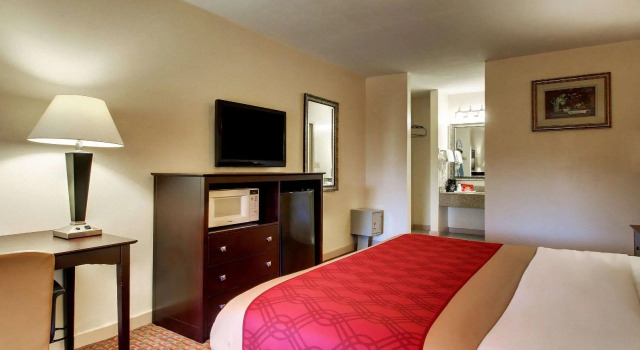 Двухместный номер Standard Twin Star Lodge