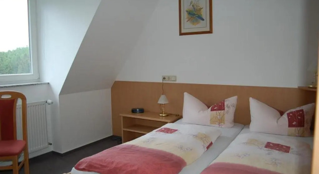 Двухместный номер Standard Waldgasthaus & Berghotel Steinerne Renne